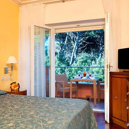 Hotell Versilia Palace 4*