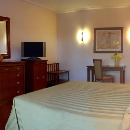 Versilia Palace מלון 4*
