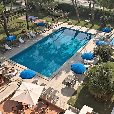 Hotel Versilia Palace 4*